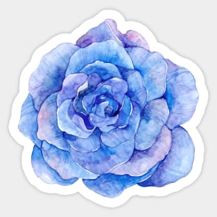 Purple watercolor rose flower illustration, flower blue Sticker